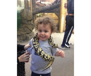 link.php?email=&zid=&tag=&source=10001&affid=