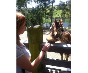 link.php?email=&zid=&tag=&source=10001&affid=